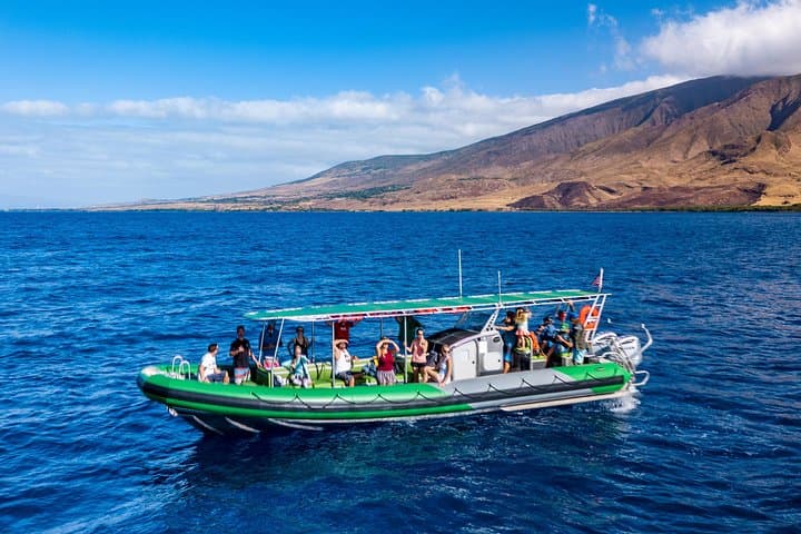 Afternoon Snorkel from Ka'anapali — West Maui Turtle and Reef Experience photo 4