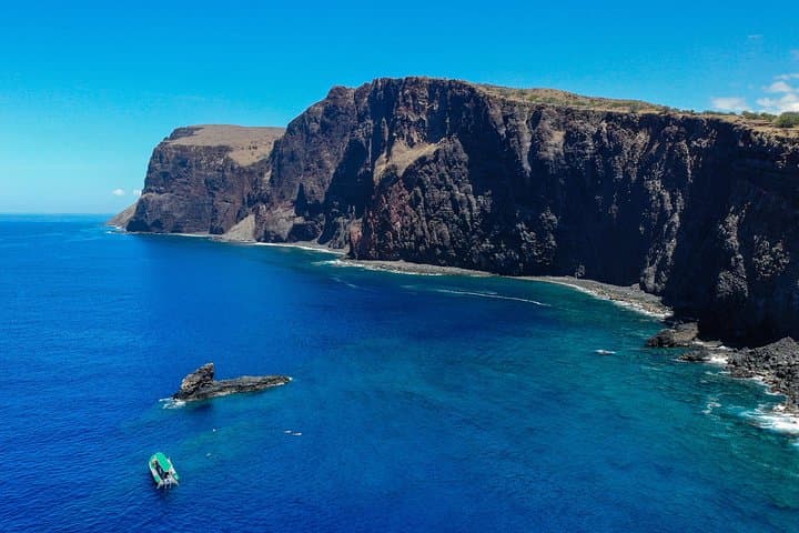 Afternoon Snorkel from Ka'anapali — West Maui Turtle and Reef Experience photo 6