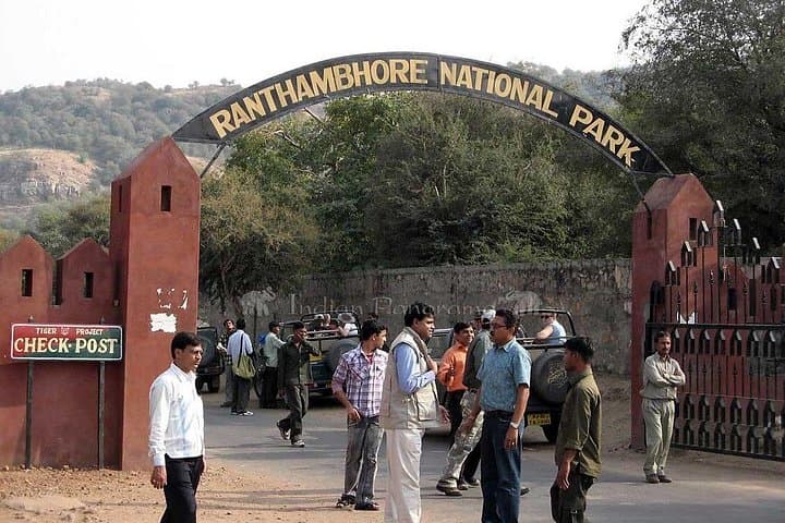 Rajasthan Tour with Wildlife Safari: Palaces, Tigers & Desert Roads photo 1