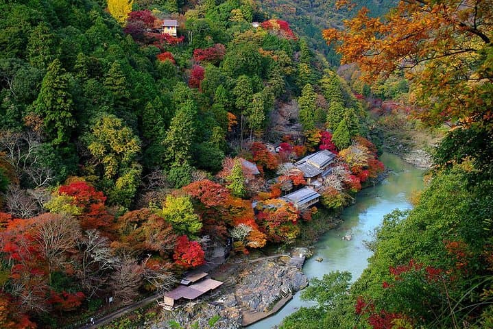 Customize Kyoto: Private Full-Day Tour with Guide & Transport photo 4