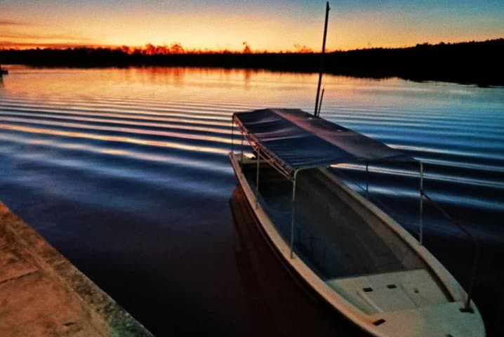 Sunset River Cruise to See Proboscis Monkeys and Fireflies from Kota Kinabalu photo 3