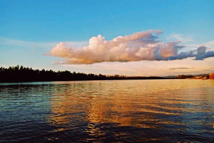Sunset River Cruise to See Proboscis Monkeys and Fireflies from Kota Kinabalu photo 4