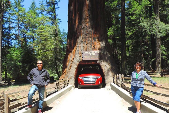 Avenue of the Giants: 2-Day Private Redwoods Tour with 1-Night Hotel photo 1