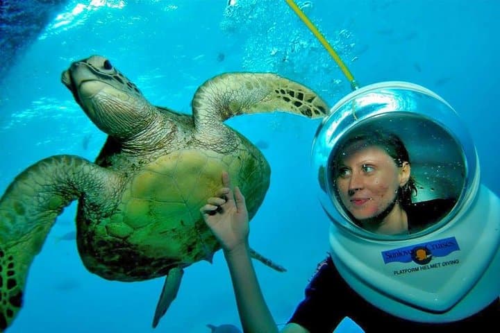 Sea Walking Bali at Tanjung Benoa — Helmet Dive for Non-Divers photo 5