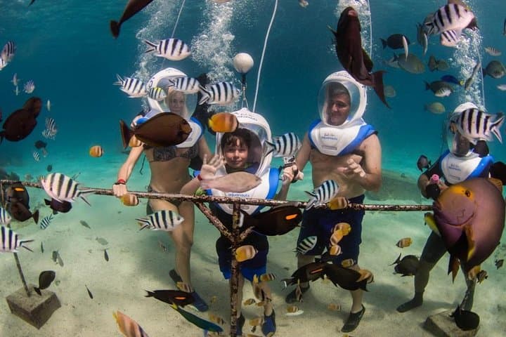 Sea Walking Bali at Tanjung Benoa — Helmet Dive for Non-Divers photo 6
