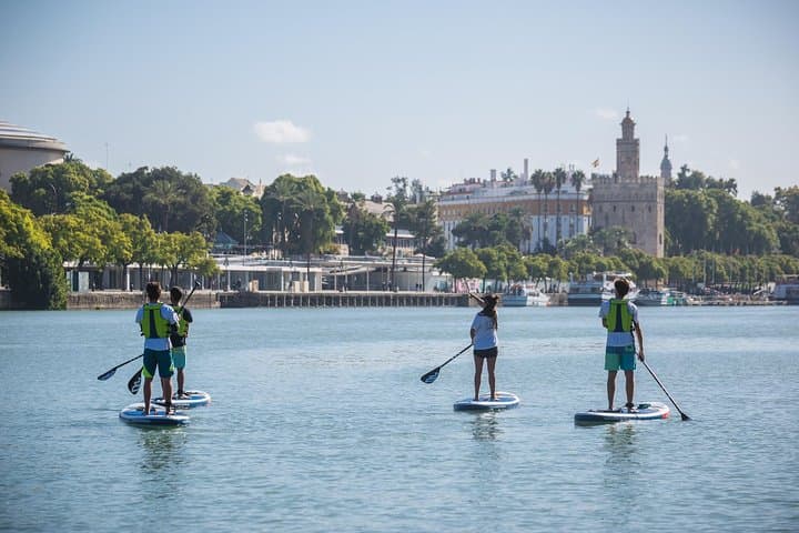 Paddle Surf in Seville: Guadalquivir Stand-Up Paddleboarding Tour & Class