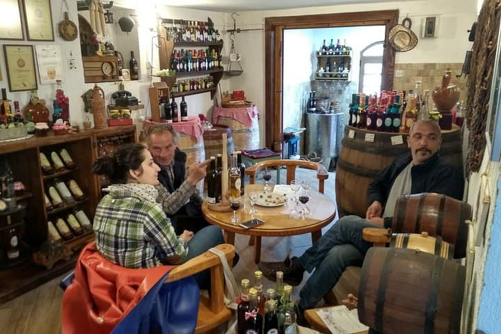 Winemaking & Views at Pavlova Strana: Skadar Lake Family Winery Tasting Near Podgorica