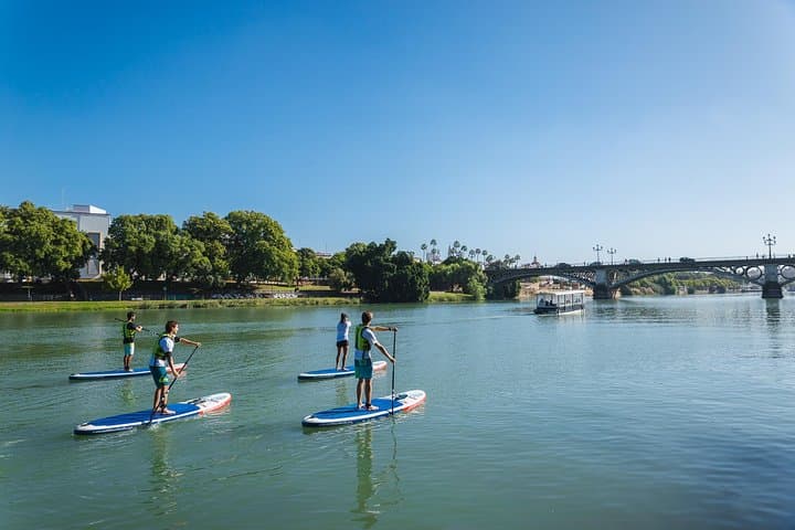Paddle Surf in Seville: Guadalquivir Stand-Up Paddleboarding Tour & Class photo 4