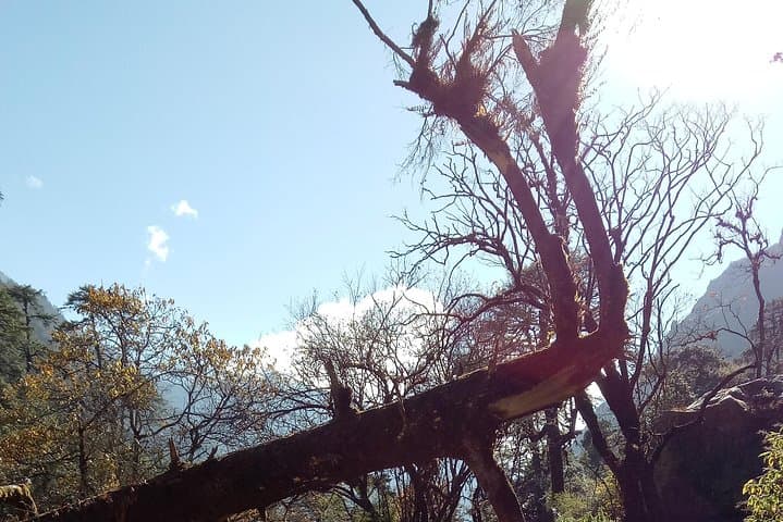 Langtang Valley Trek: Himalayan Trails to Kyanjin Gompa photo 5