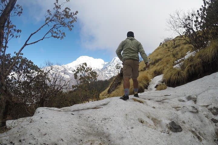 Mardi Himal Trekking: 4–6 Day Annapurna Hike from Pokhara photo 2