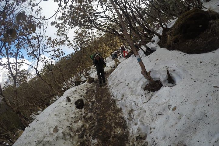Mardi Himal Trekking: 4–6 Day Annapurna Hike from Pokhara photo 4