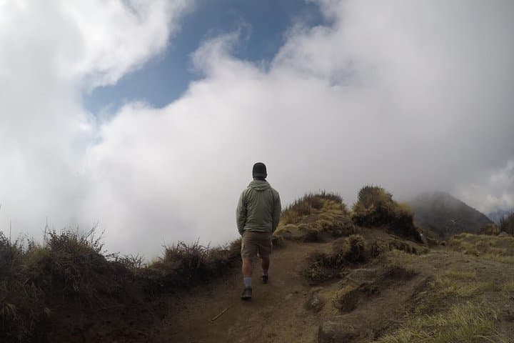 Mardi Himal Trekking: 4–6 Day Annapurna Hike from Pokhara photo 5