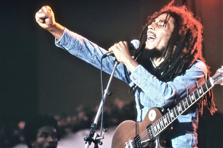 Dunn's River Falls & Bob Marley's Nine Mile Day Trip from Montego Bay photo 2