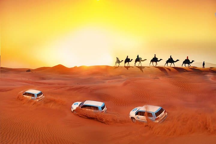Evening Desert Safari with BBQ Dinner in Dubai's Lahbab Dunes photo 4