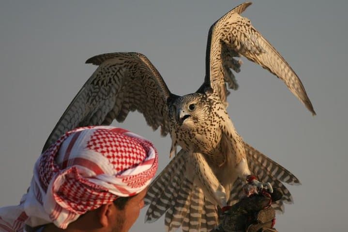 Evening Desert Safari with BBQ Dinner in Dubai's Lahbab Dunes photo 5