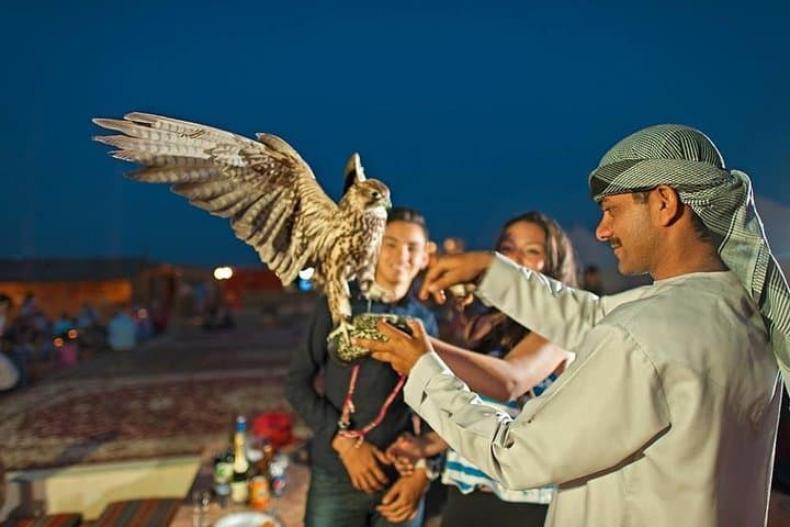 Evening Desert Safari with BBQ Dinner in Dubai's Lahbab Dunes photo 2