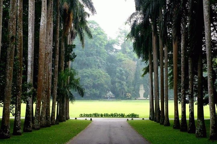 Kandy Day Tour from Colombo: Peradeniya Botanical Gardens, Temple of the Tooth & Cultural Show photo 5
