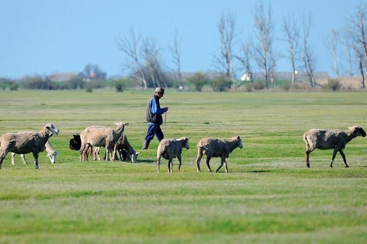 Explore Hungary's Puszta: Hortobágy & Debrecen Private Day Tour photo 3