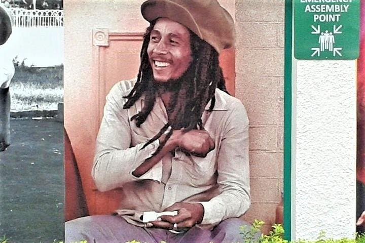 Dunn's River Falls & Bob Marley's Nine Mile Day Trip from Montego Bay photo 4