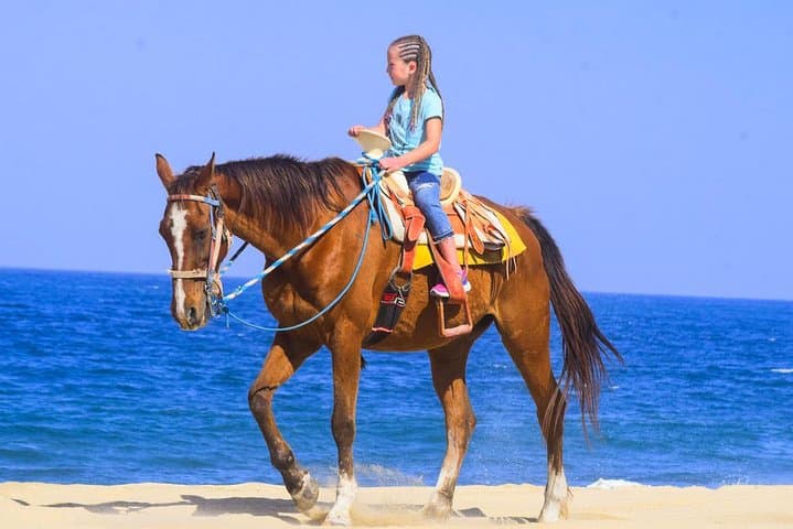 Los Cabos Combo: ATV and Horseback Ride to Playa Migriño photo 2
