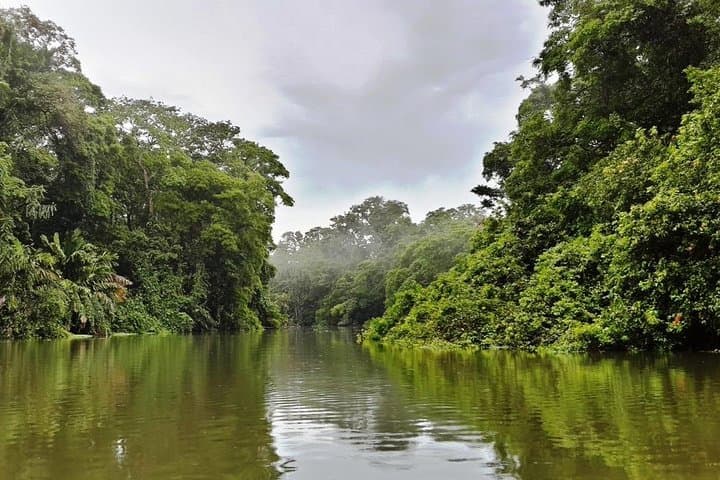 Tortuguero Full-Day Wildlife Observation: Boats, Turtles & Canal Life