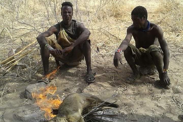 Lake Eyasi Cultural Safari: 3-Day Hadzabe & Datoga Village Experience