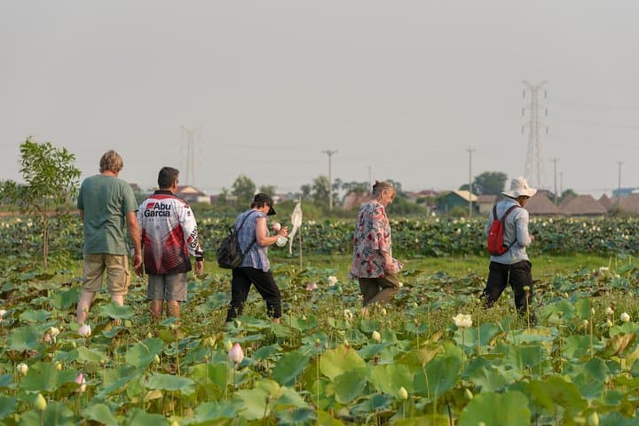 Sunset Jeep Tour Through Cambodia’s Rural Rice Fields (From Phnom Penh) photo 4