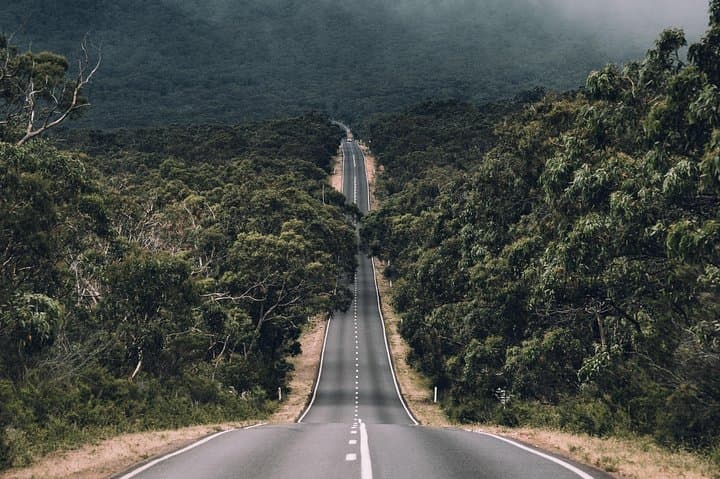 Grampians Day Hike from Melbourne — The Pinnacle, MacKenzie Falls & Boroka Lookout photo 3