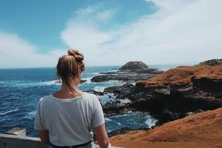 Cape Woolamai Hike and Penguin Parade: Phillip Island Day Tour photo 6