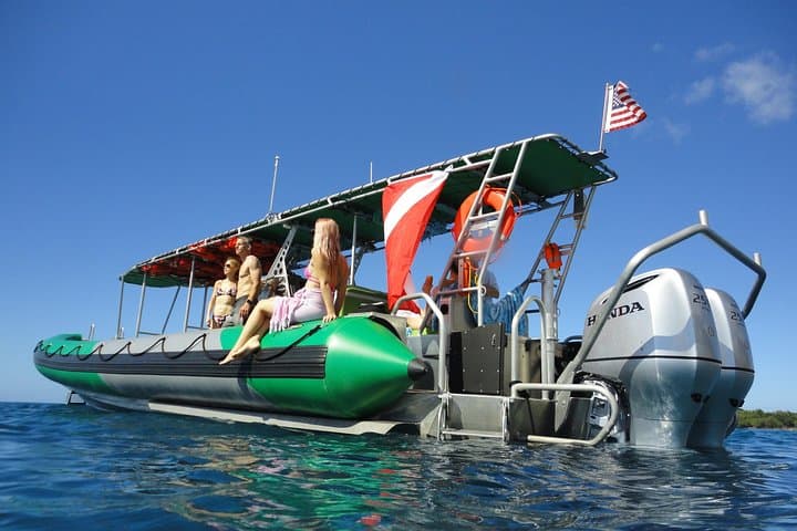 West Maui Snorkel Tour from Ka'anapali — Turtles, Reefs & Dolphin Sightings photo 1