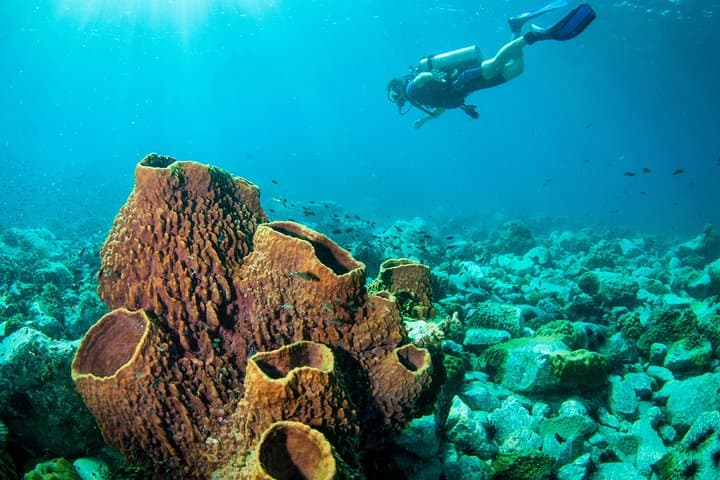 Koh Chang Two-Dive Day Trip: HTMS Chang Wreck & Koh Rang Reefs photo 3