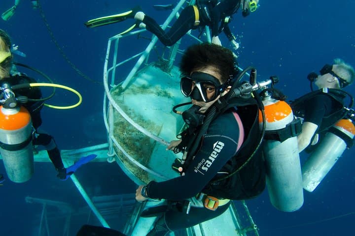 Koh Chang Two-Dive Day Trip: HTMS Chang Wreck & Koh Rang Reefs photo 4