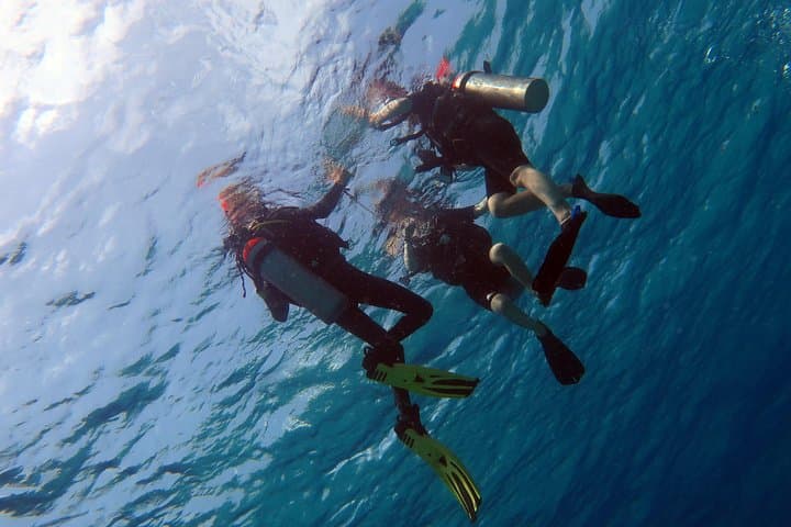 Rescue Diver and EFR Course on Koh Chang — Advanced Rescue Diver Training & First Aid photo 2