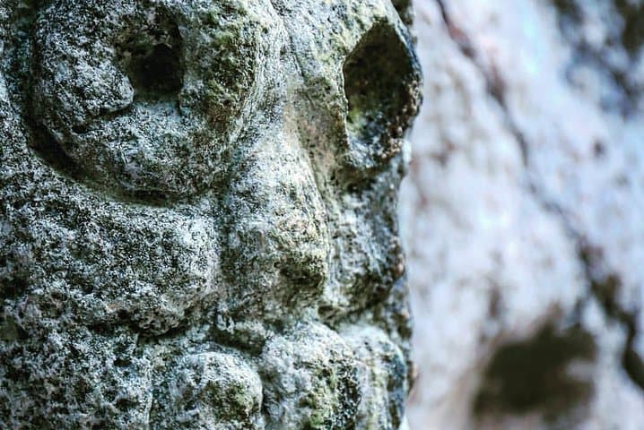 Los Haitises Private Boat Tour: Caves, Mangroves & San Lorenzo Bay photo 3