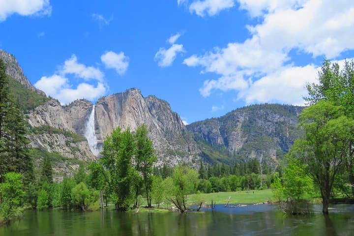 Private 2-Day Yosemite Tour: Glacier Point, Mariposa Grove & Valley Highlights photo 5