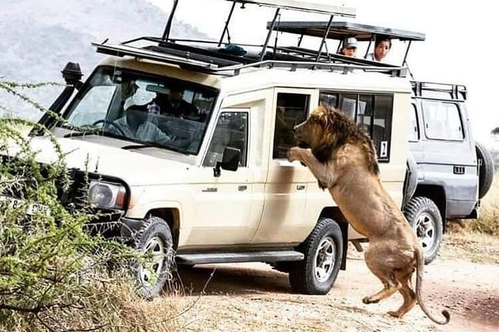 4-Day Serengeti Safari: Tarangire, Ngorongoro & Seronera Game Drives photo 1