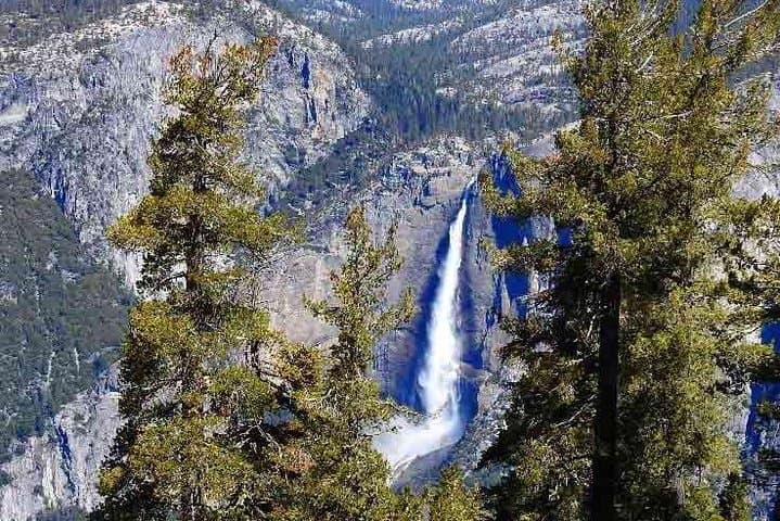 Private 1-Day Yosemite Tour from San Francisco: El Capitan, Half Dome & Yosemite Falls photo 3