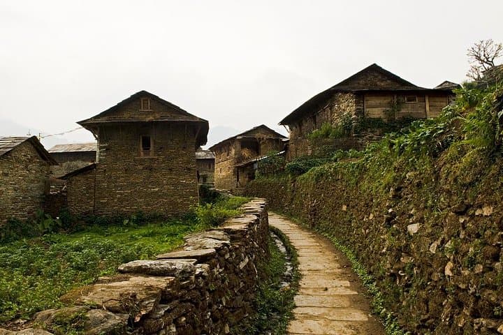 6-Day Ghorepani-Ghandruk Poonhill Trek: Sunrise Views of Annapurna & Dhaulagiri photo 3