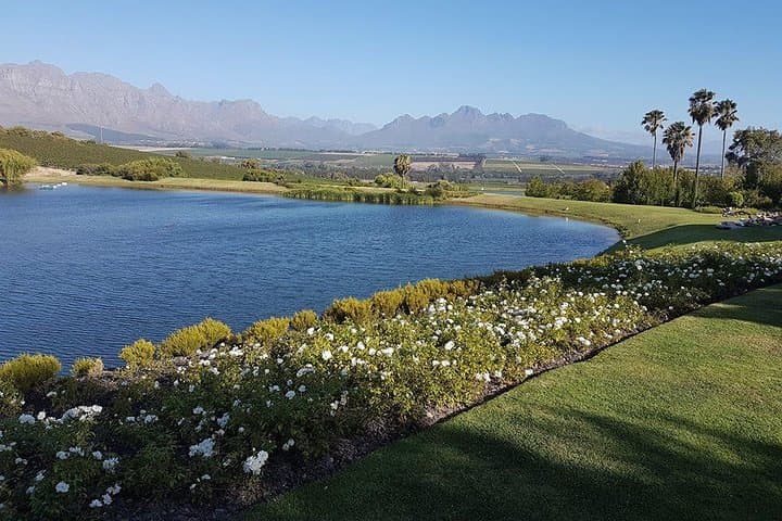 Cape Winelands Private Wine Tour: Stellenbosch & Franschhoek Wine Estates photo 2