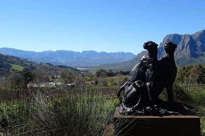 Cape Winelands Private Wine Tour: Stellenbosch & Franschhoek Wine Estates photo 4