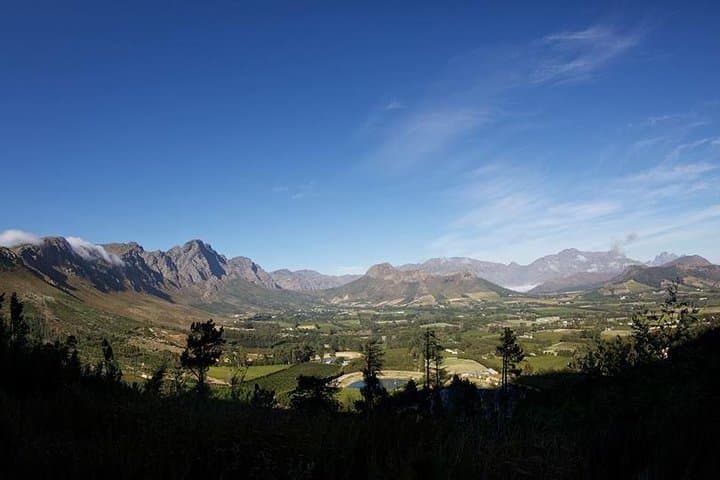 Cape Winelands Private Wine Tour: Stellenbosch & Franschhoek Wine Estates photo 6