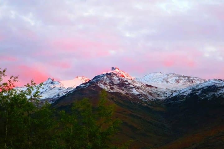 Explore Denali’s Wild Backcountry on a Side-by-Side ATV Adventure with Scenic Meals photo 5