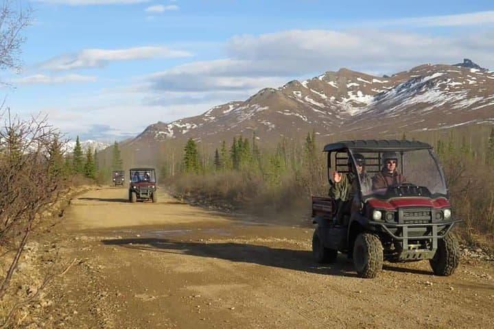 Explore Denali’s Wild Backcountry on a Side-by-Side ATV Adventure with Scenic Meals photo 4