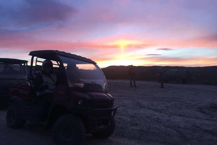 Explore Denali’s Wild Backcountry on a Side-by-Side ATV Adventure with Scenic Meals photo 3