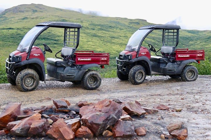 Explore Denali’s Wild Backcountry on a Side-by-Side ATV Adventure with Scenic Meals photo 2