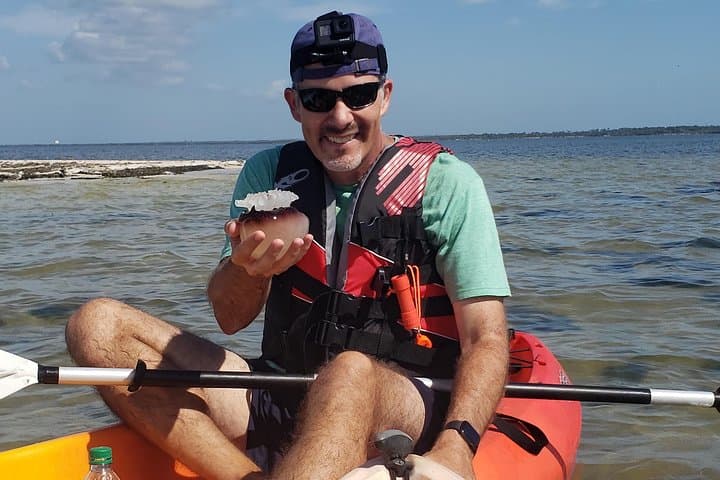 Space Coast Manatee & Dolphin Kayak Tour — Titusville Wildlife Refuge photo 3
