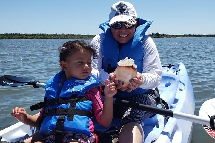 Space Coast Manatee & Dolphin Kayak Tour — Titusville Wildlife Refuge photo 4