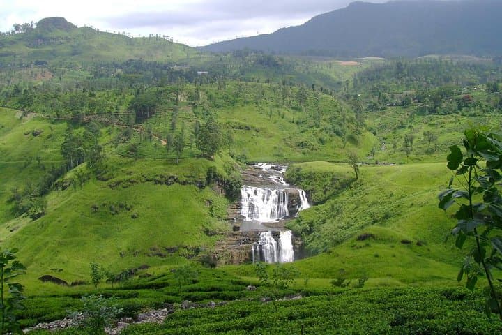 Nuwara Eliya Day Trip: Tea, Waterfalls & Gregory Lake from Colombo photo 5