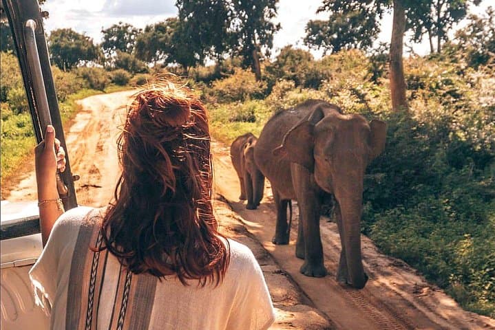Udawalawe National Park Safari: Day Trip from Colombo to See Wild Elephants