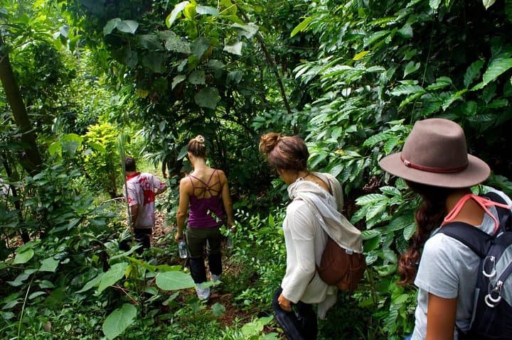 Rain Forest Trekking in Kitulgala Forest Reserve — Day Trek & River Crossing from Kandy photo 4
